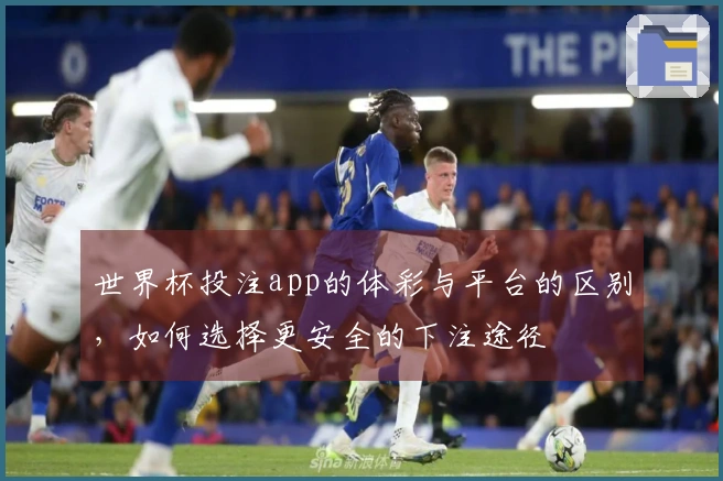 世界杯投注app的体彩与平台的区别，如何选择更安全的下注途径