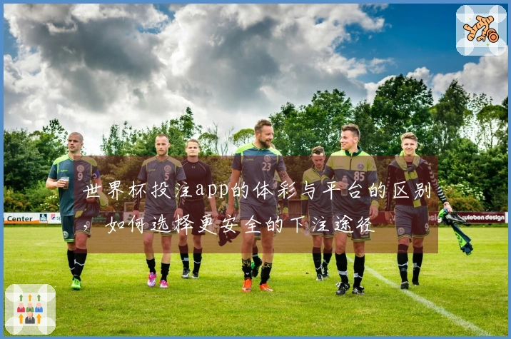 世界杯投注app的体彩与平台的区别，如何选择更安全的下注途径