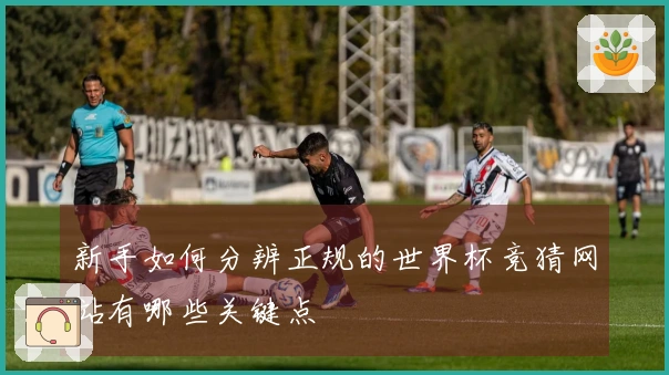 新手如何分辨正规的世界杯竞猜网站有哪些关键点